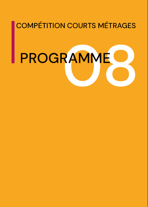 Program 8