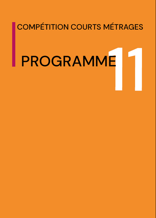 Program 11